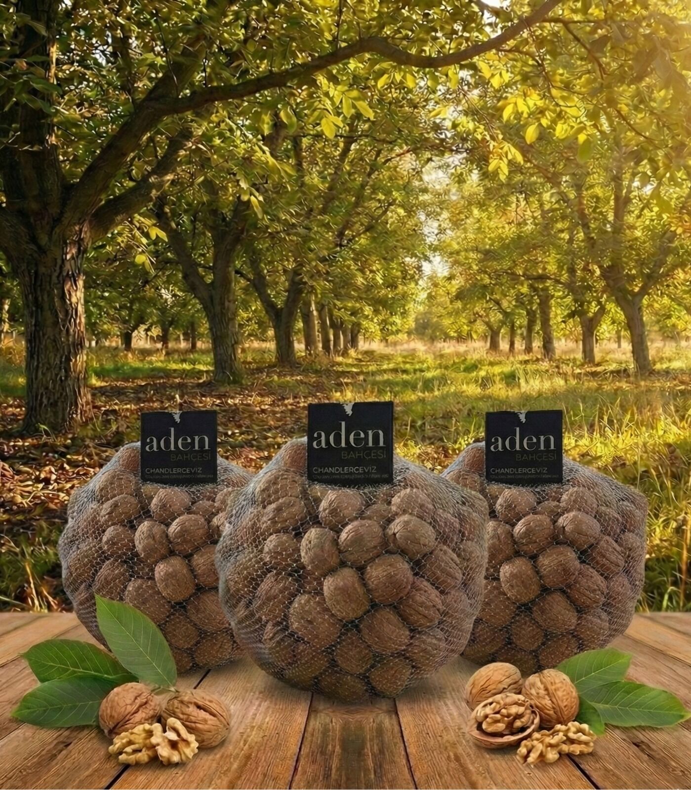 Kabuklu Ceviz (10kg) - Görsel 1